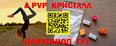 a pvp Свободный