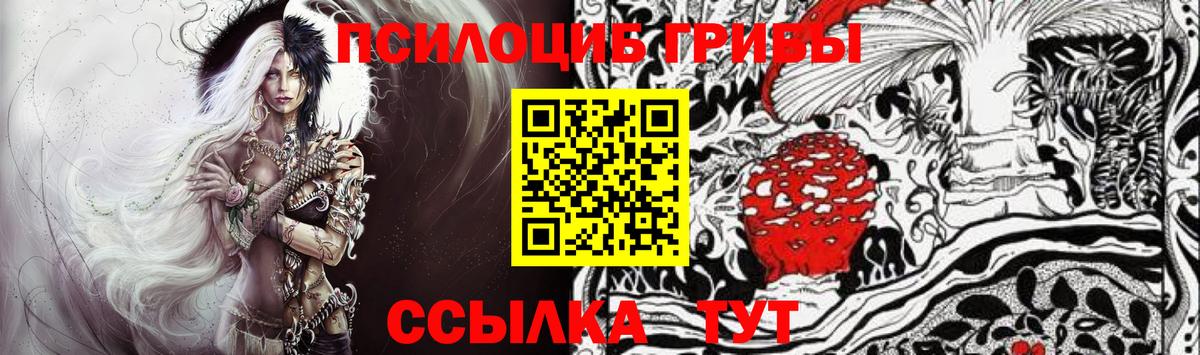 Галлюциногенные грибы MAGIC MUSHROOMS  Вход с VPN  Приморско-Ахтарск 